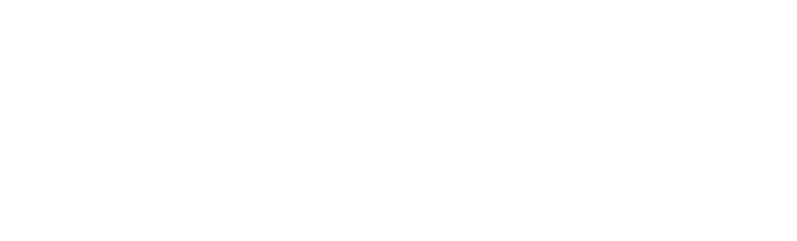 Bradford White Logo