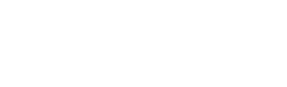 Pigeon Logo